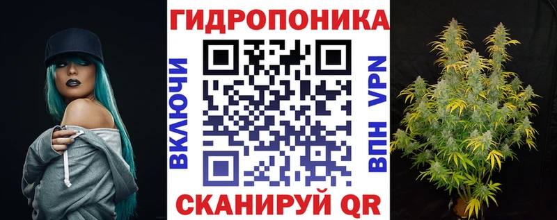 Канабис план  Белая Холуница 